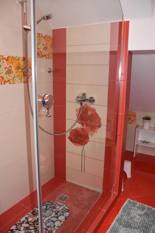 Affittacamere Janine Garden Braşov